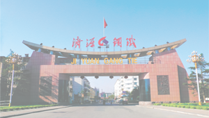 藍(lán)豐有限公司成功舉辦2024年度 總結(jié)表彰大會及2025年度迎新年會